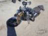 2025 TRIUMPH SCRAMBLER 