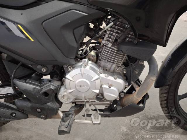 2025 YAMAHA FACTOR 