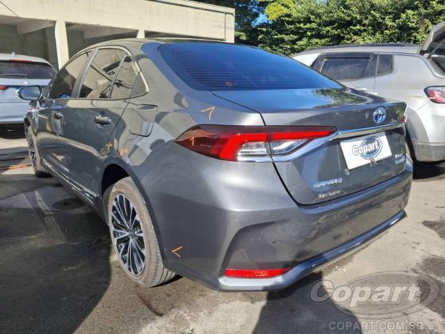 2024 TOYOTA COROLLA 