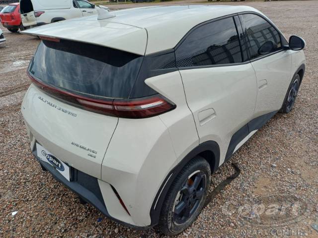 2025 BYD DOLPHIN MINI 