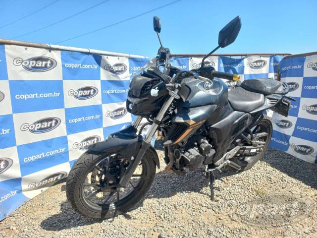 2024 YAMAHA FZ25 FAZER 