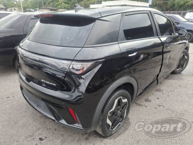 2024 BYD DOLPHIN 