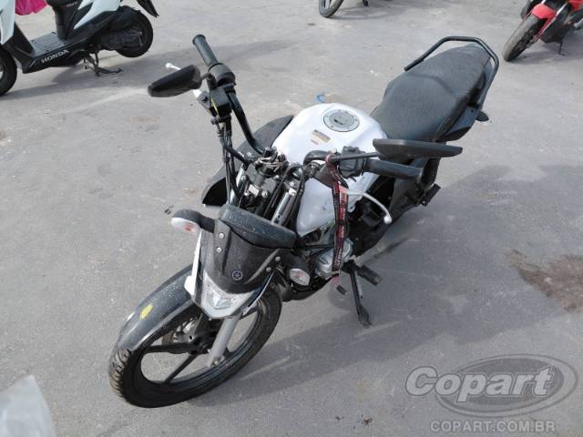 2025 YAMAHA FACTOR 