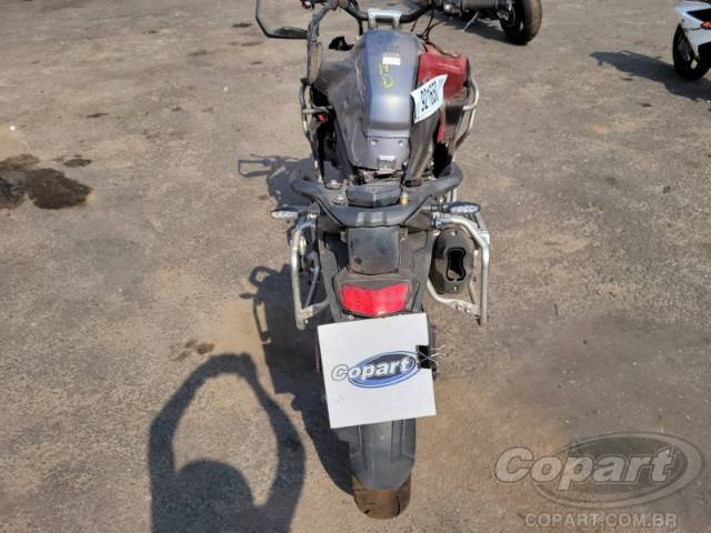 2024 TRIUMPH TIGER 
