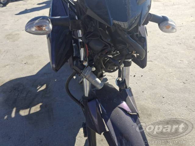 2025 YAMAHA FAZER 