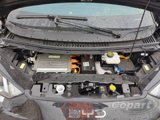 2025 BYD DOLPHIN MINI 