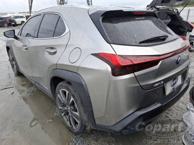 2019 LEXUS UX 