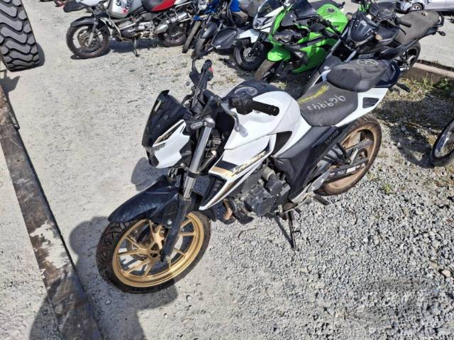 2025 YAMAHA FZ25 FAZER 