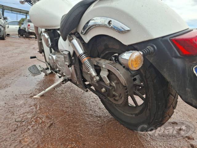 2026 SHINERAY Denver 