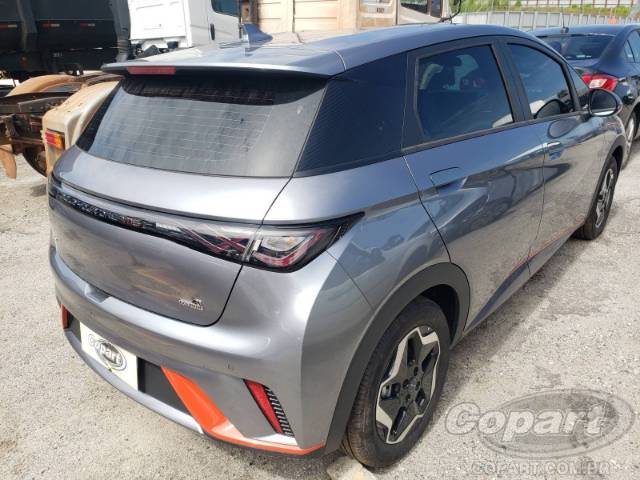 2024 BYD DOLPHIN 