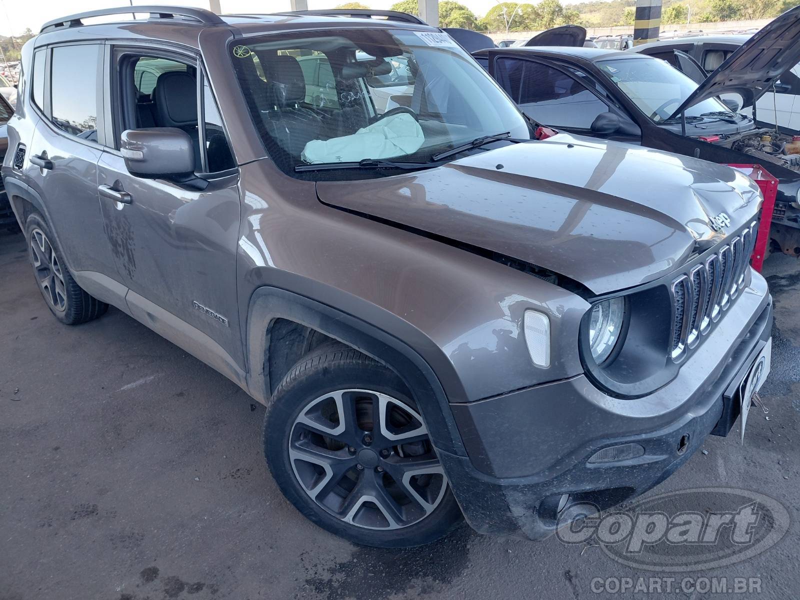 Veículo Fiat Renegade JEEP RENEGADE 1.8 16V E.TORQ EVO 2019 2019 em leilão