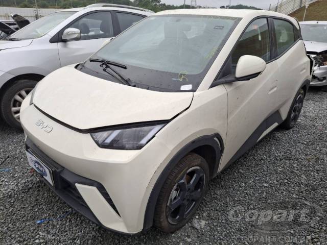 2025 BYD DOLPHIN MINI 