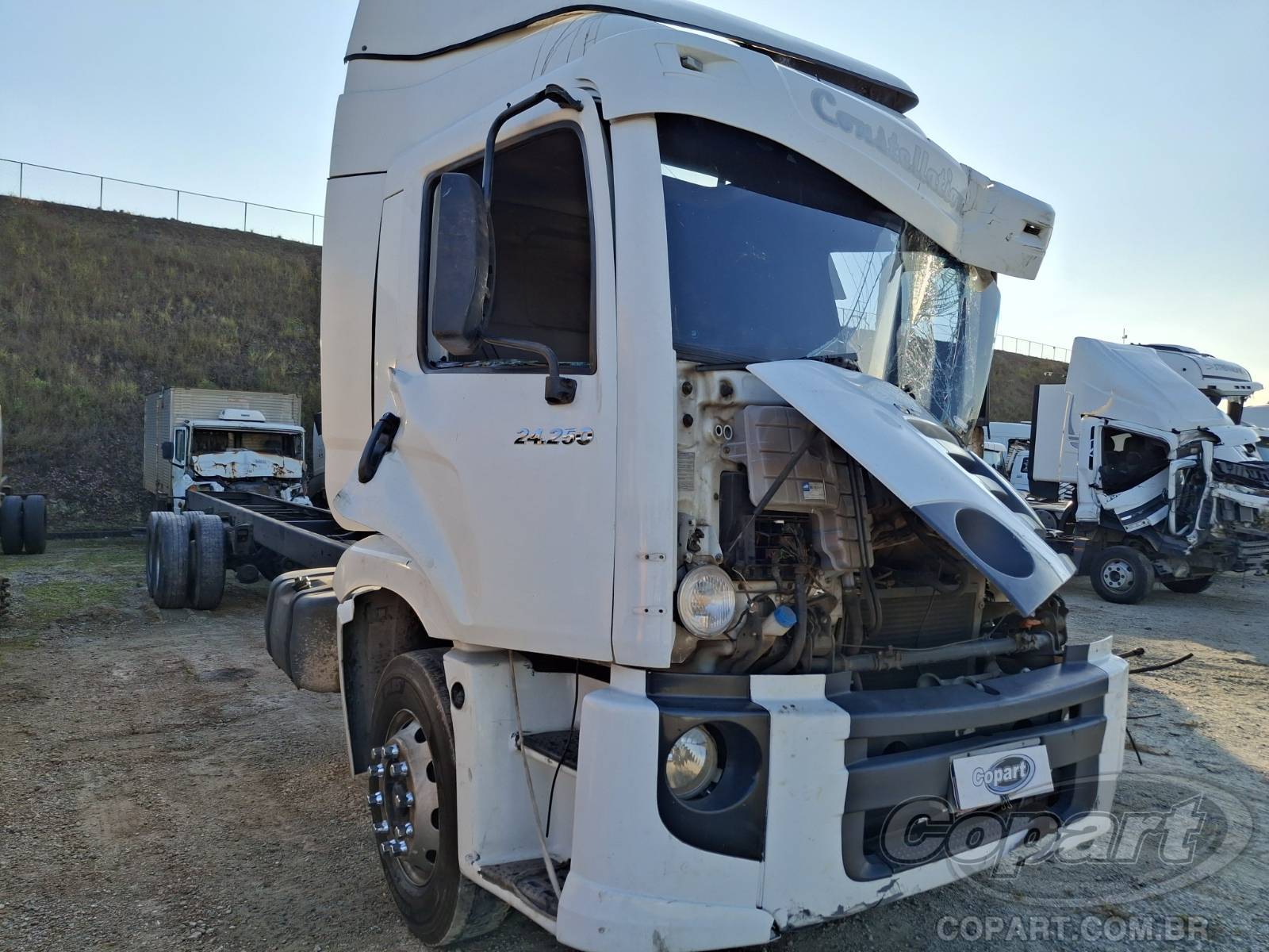 VOLKSWAGEN CONSTELLATION 2011