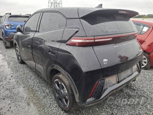 2025 BYD DOLPHIN MINI 