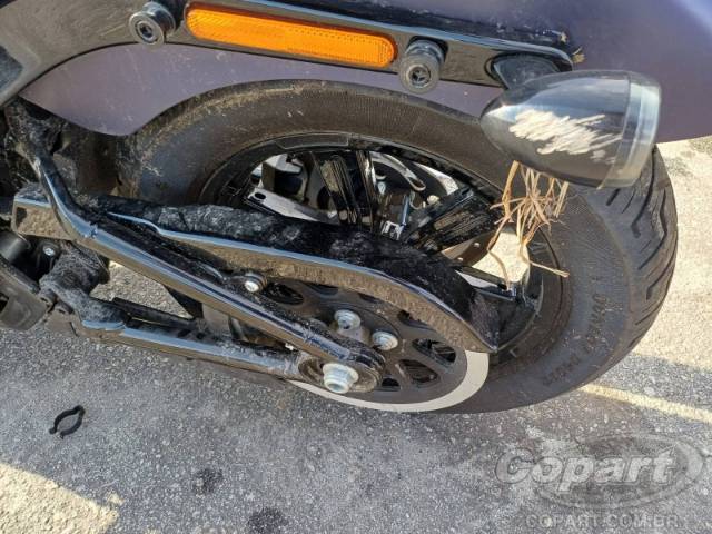 2025 HARLEY-DAVIDSON SOFTAIL 