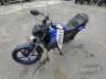 2025 YAMAHA FACTOR 