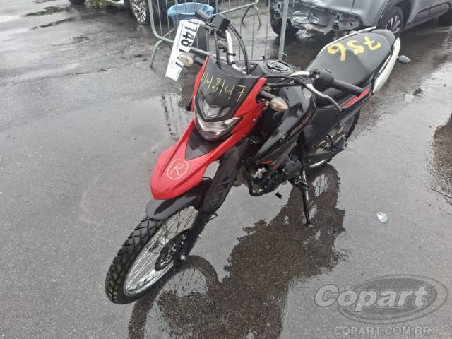 2024 YAMAHA XTZ 250 