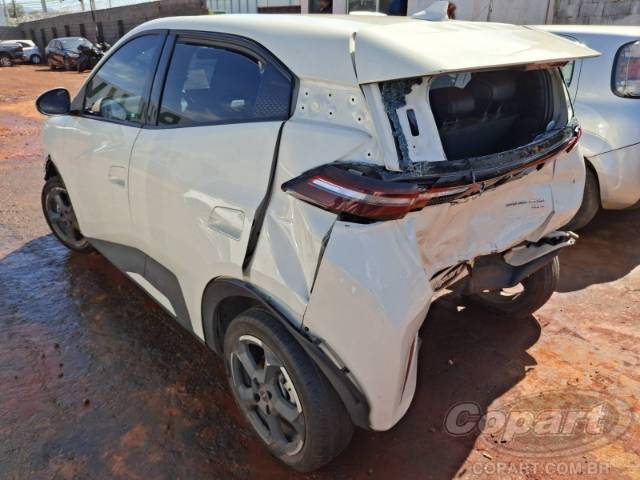 2025 BYD DOLPHIN MINI 