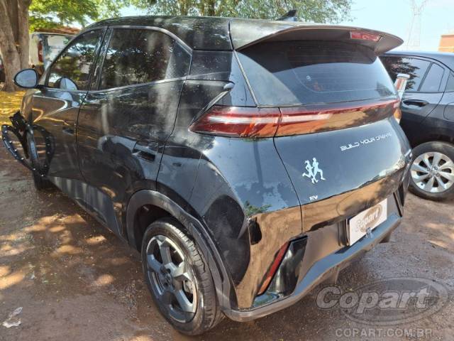 2025 BYD DOLPHIN MINI 