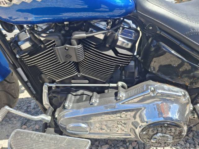 2025 HARLEY-DAVIDSON SOFTAIL 