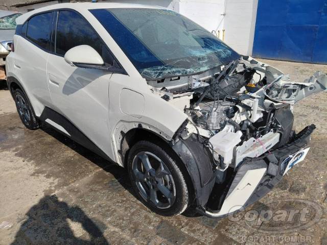 2025 BYD DOLPHIN MINI 