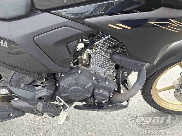 2025 YAMAHA FACTOR 