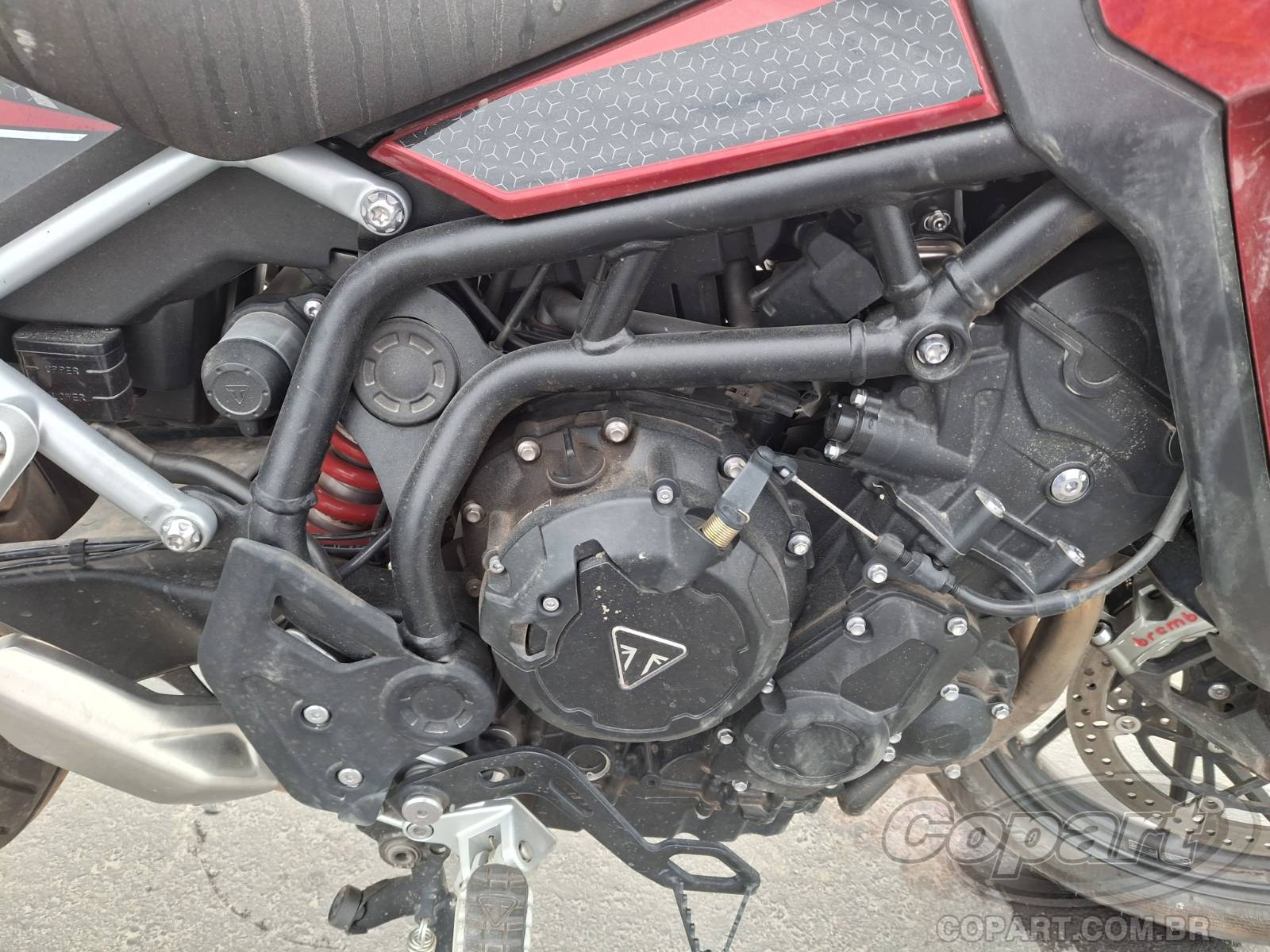 2025 TRIUMPH TIGER — leilão em Itaquaquecetuba/SP (foto 6)