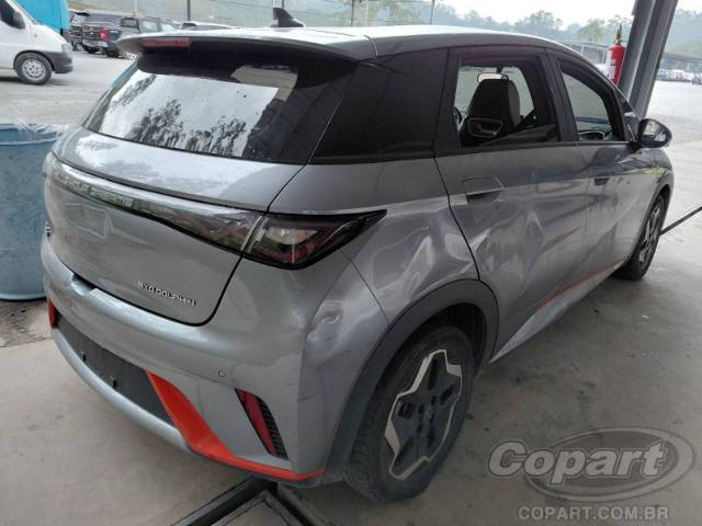 2024 BYD DOLPHIN 
