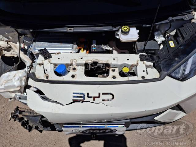 2025 BYD DOLPHIN MINI 