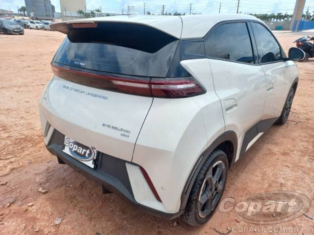 2025 BYD DOLPHIN MINI 