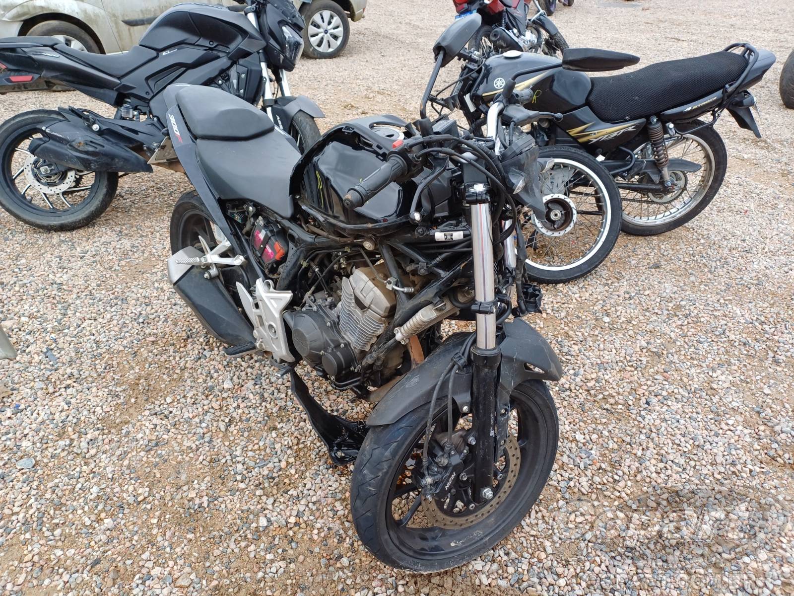 HONDA CB 300F 2025
