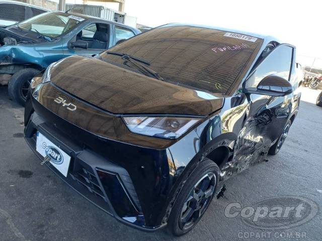 2025 BYD DOLPHIN MINI 