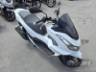2024 HONDA PCX 