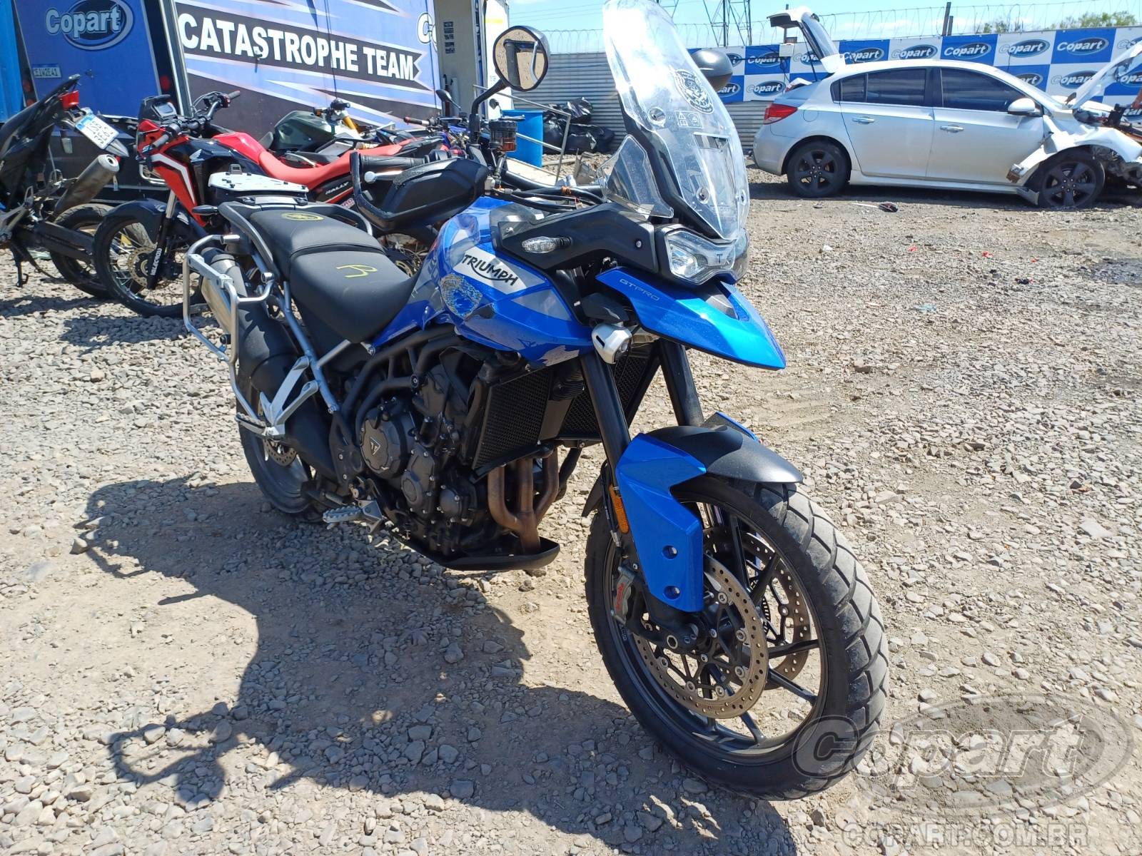 TRIUMPH TIGER 2023