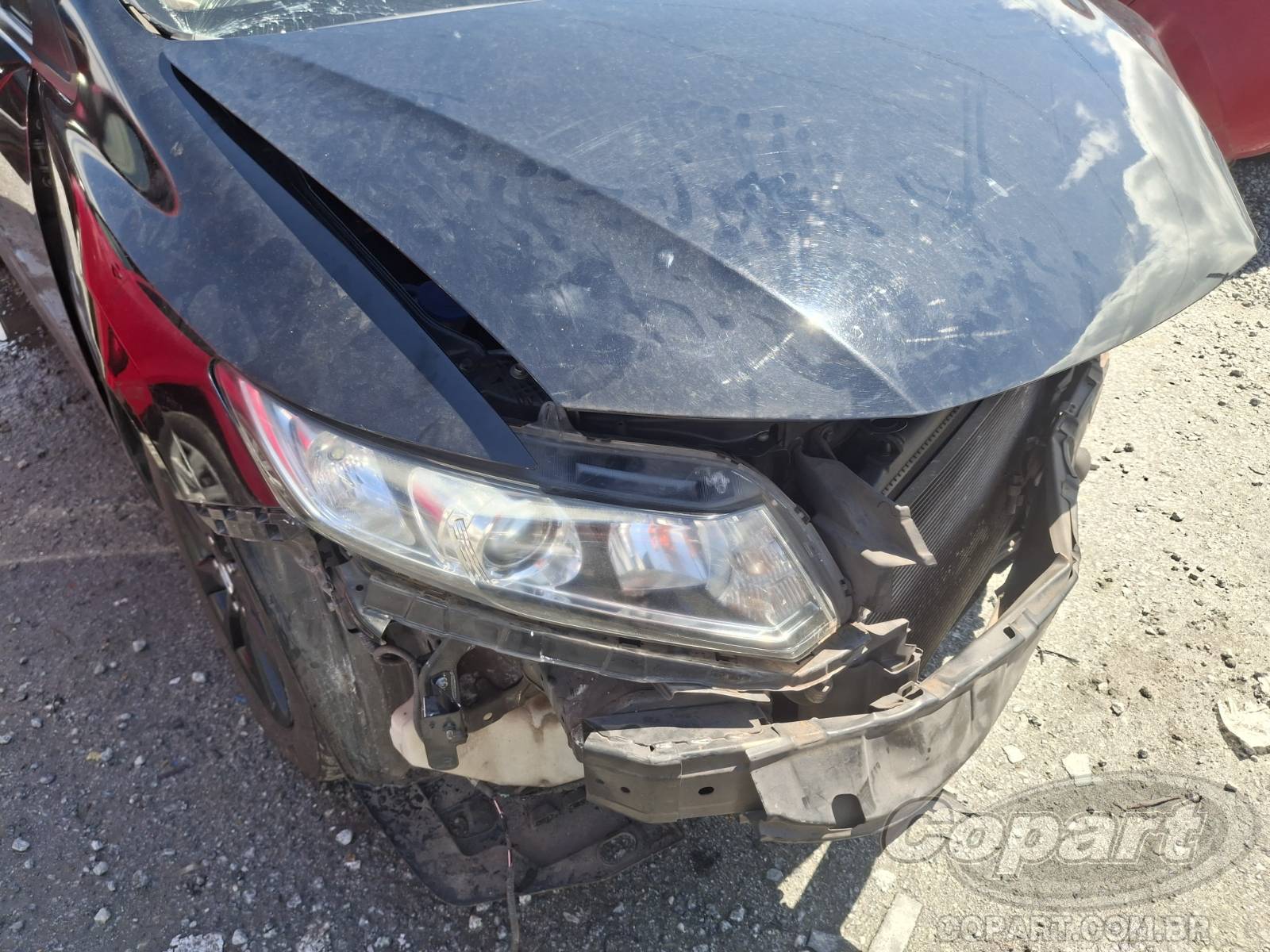 Foto 11 de 13: 2014 HONDA CIVIC