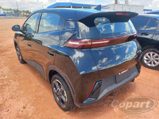 2025 BYD DOLPHIN MINI 