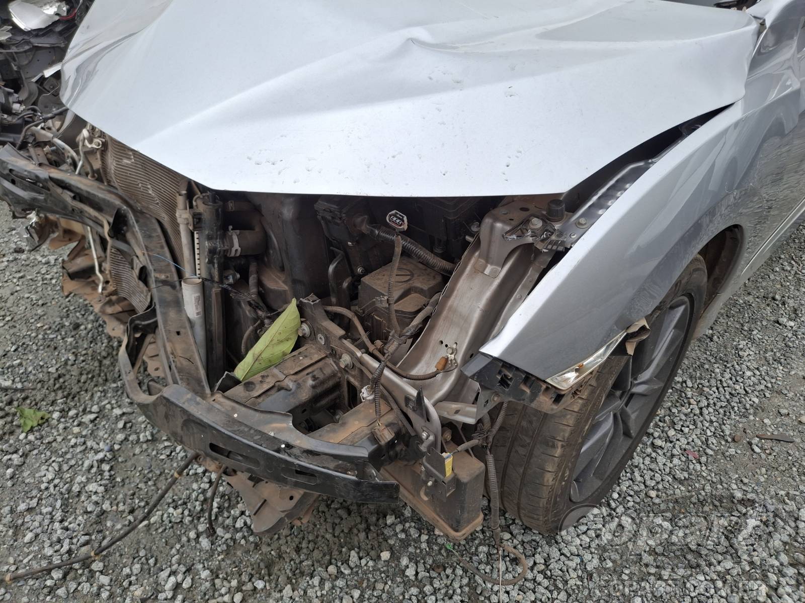2021 HONDA CIVIC — foto 11 de 14