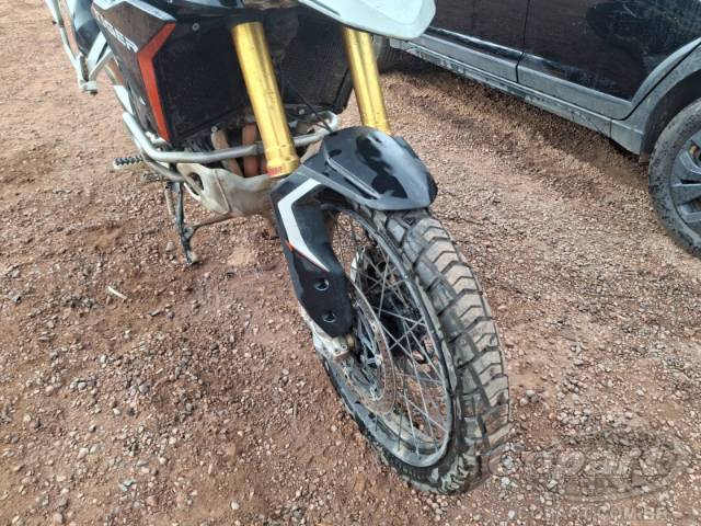2025 TRIUMPH TIGER 