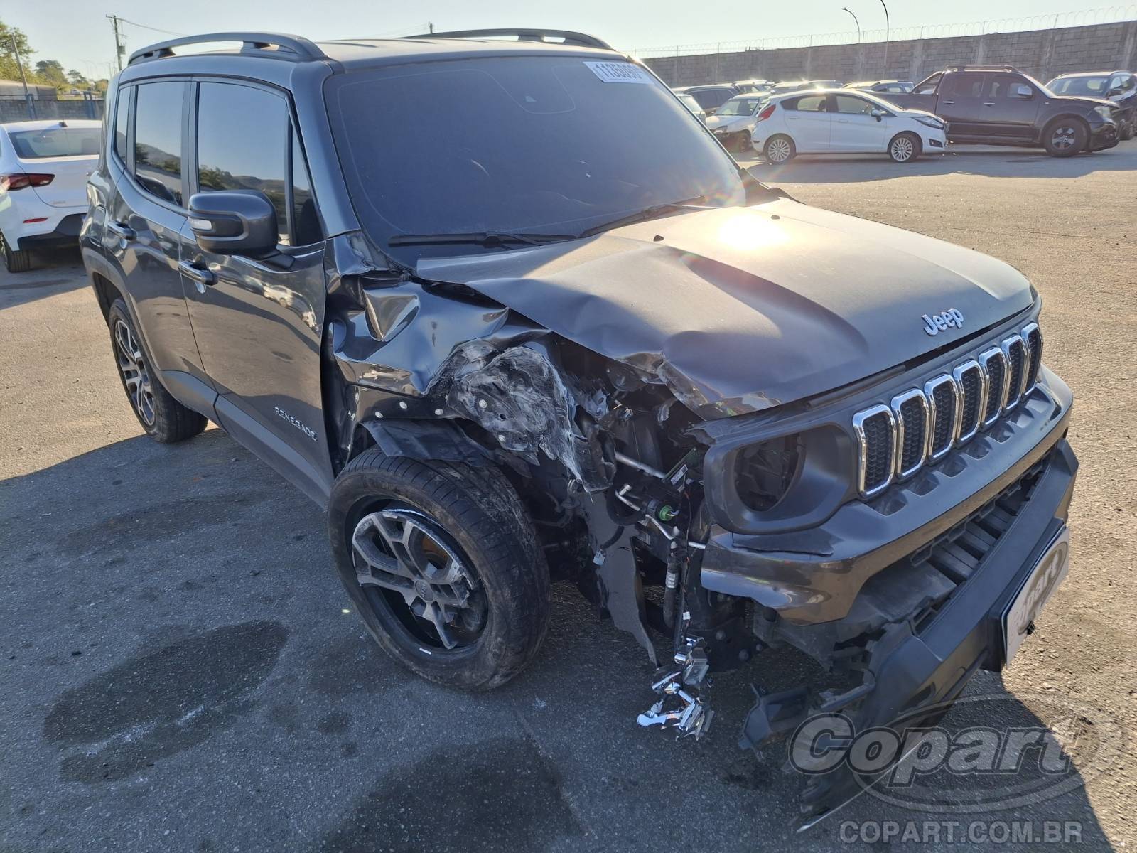 JEEP Renegade 2024