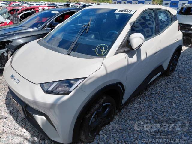 2025 BYD DOLPHIN MINI 
