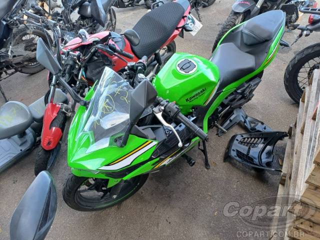2025 KAWASAKI NINJA 500 