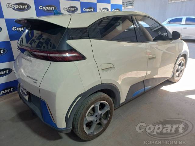 2025 BYD DOLPHIN MINI 