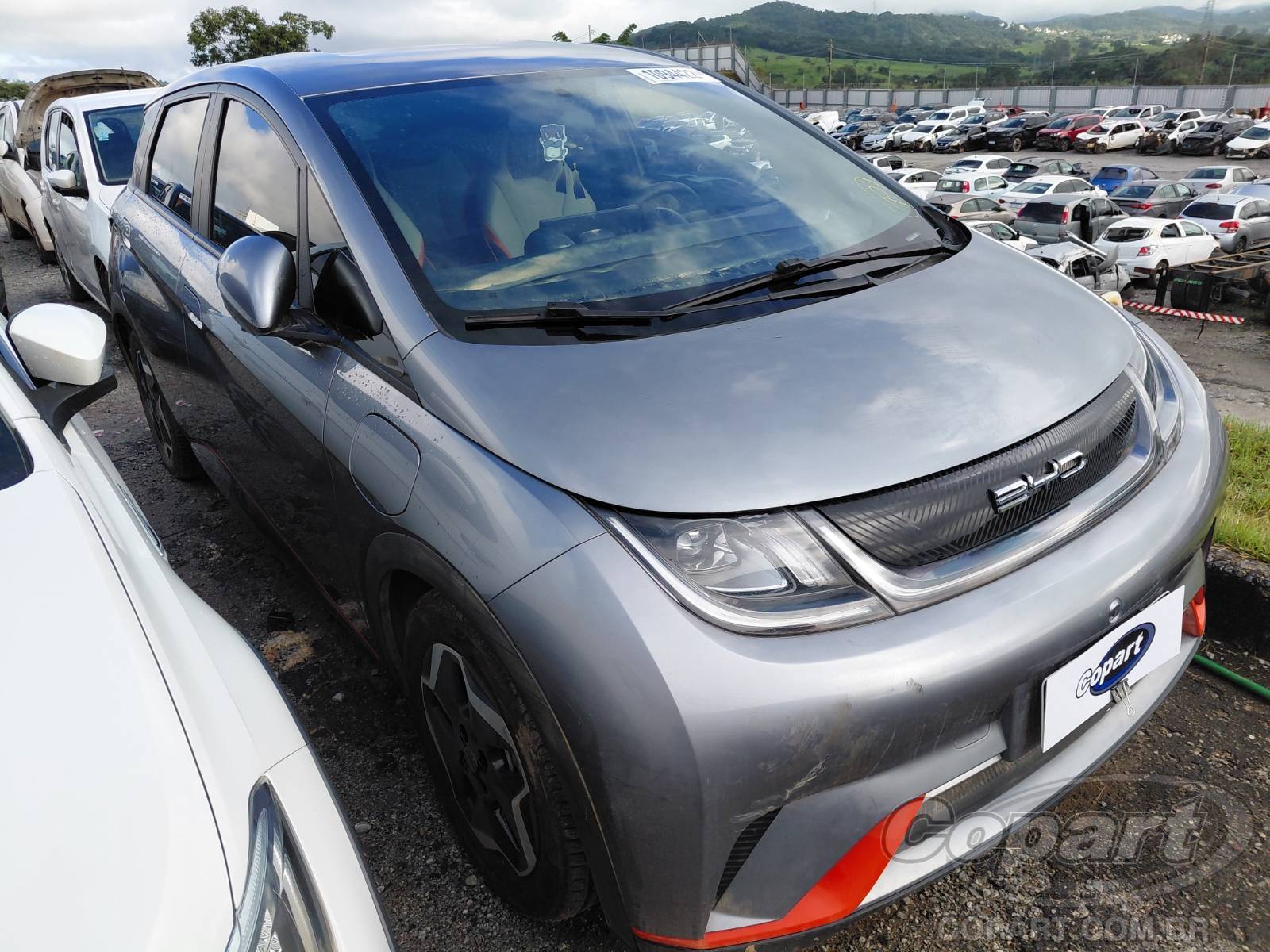 BYD Dolphin EV GS 70 kW