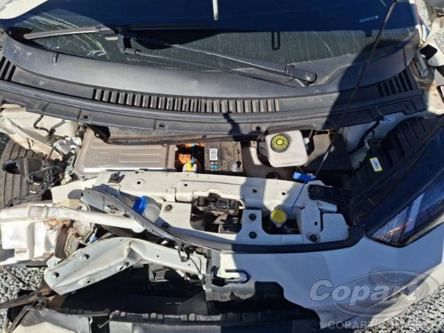 2025 BYD DOLPHIN MINI 