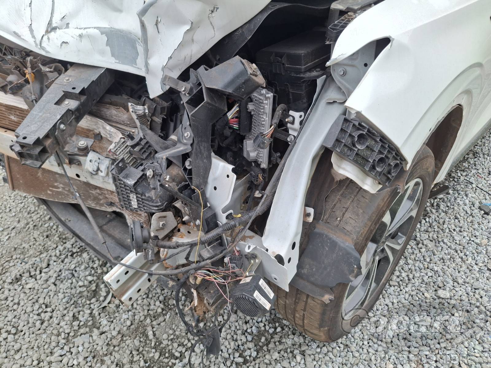 Foto 14 de 15: 2025 GWM HAVAL H6