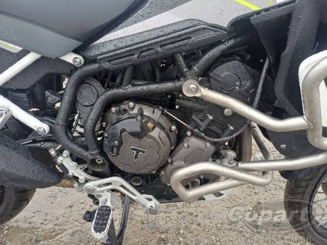 2024 TRIUMPH TIGER 