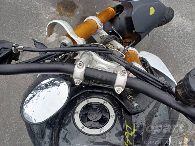 2025 TRIUMPH TIGER 