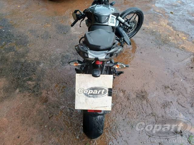 2024 BAJAJ DOMINAR 