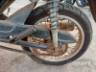 2024 HONDA POP 