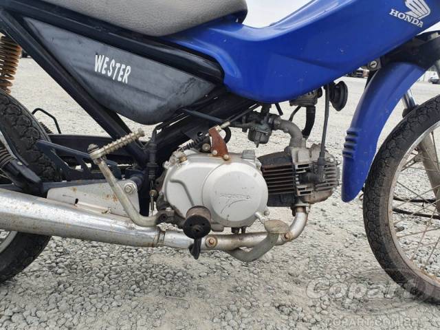 2007 HONDA POP 100 